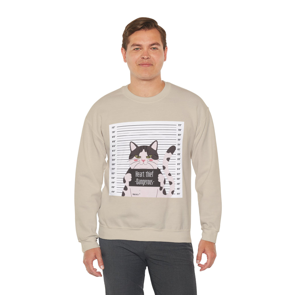 Heart Thief Cat Graphic Sweatshirt