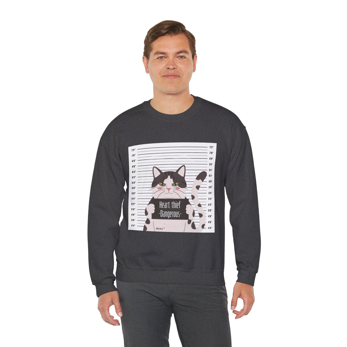 Heart Thief Cat Graphic Sweatshirt