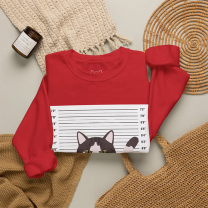Heart Thief Cat Graphic Sweatshirt
