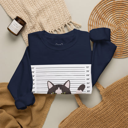 Heart Thief Cat Graphic Sweatshirt