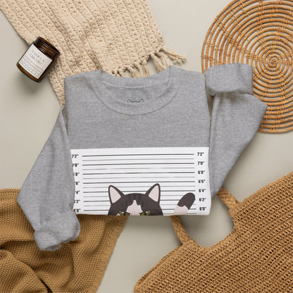 Heart Thief Cat Graphic Sweatshirt