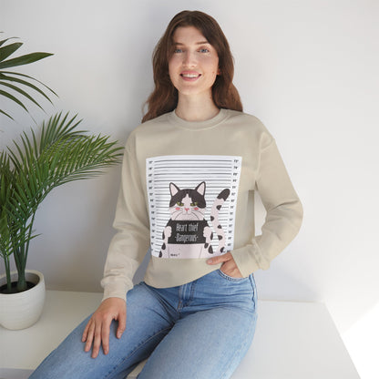 Heart Thief Cat Graphic Sweatshirt