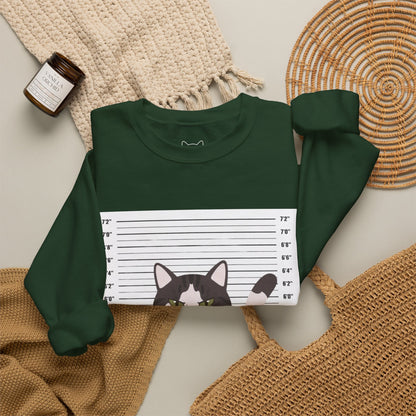 Heart Thief Cat Graphic Sweatshirt