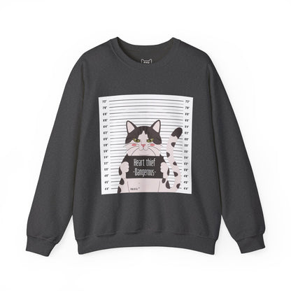 Heart Thief Cat Graphic Sweatshirt