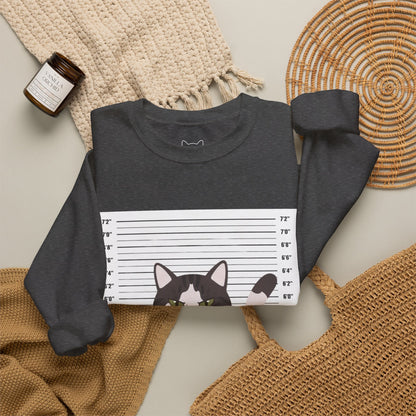 Heart Thief Cat Graphic Sweatshirt
